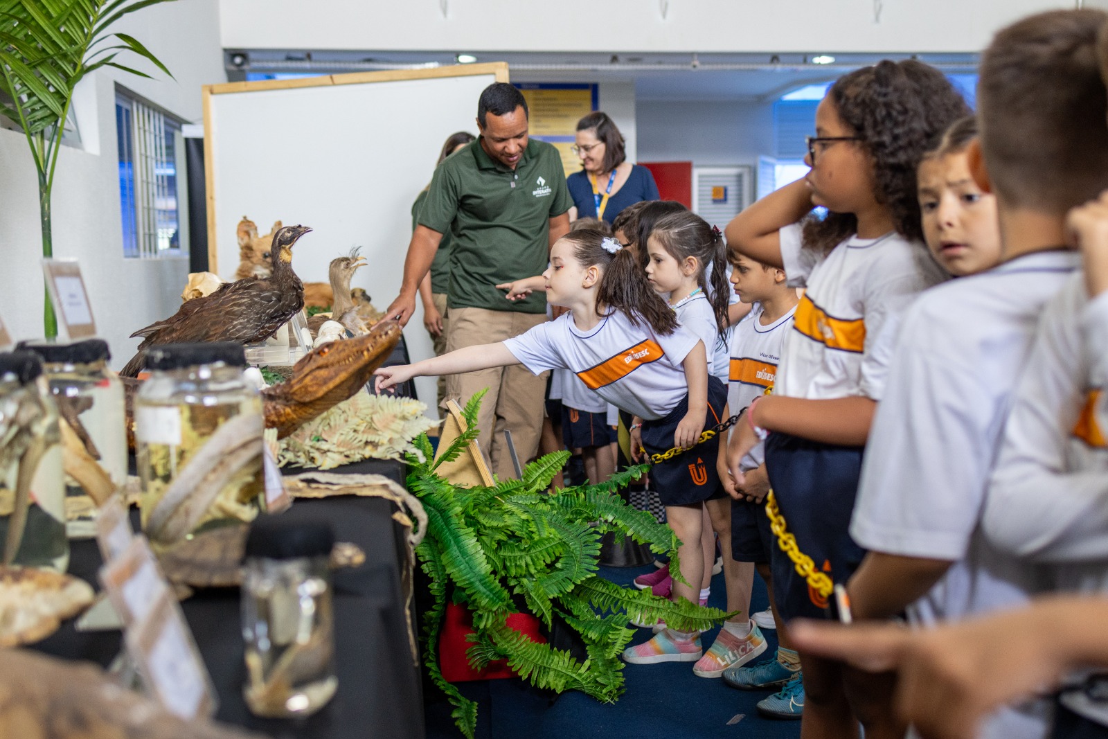 Semana do Cerrado promove conscientização e preservação ambiental na EduSesc de Taguatinga Norte